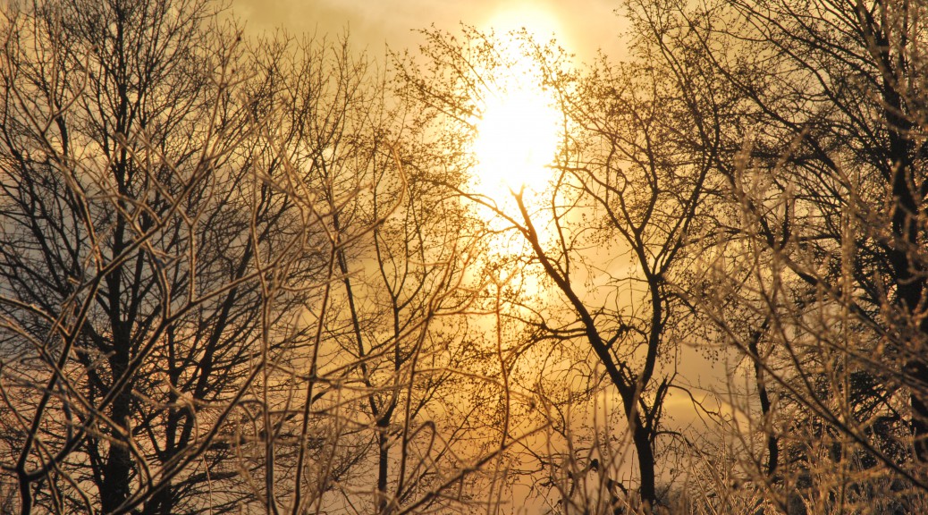 Winterbild mit Sonne